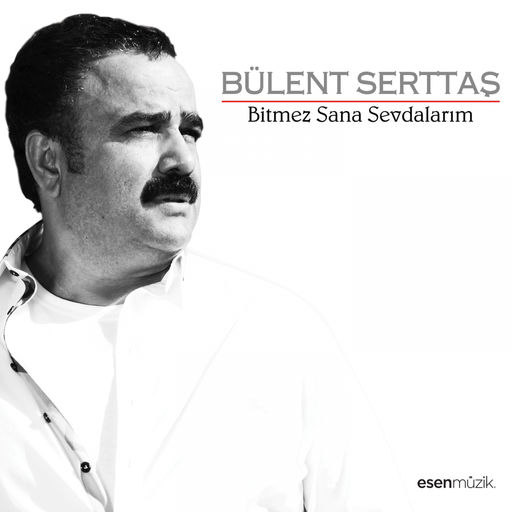 Bülent Serttaş - 2011